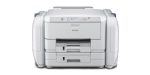 Epson WorkForce Pro WF-R Serisi